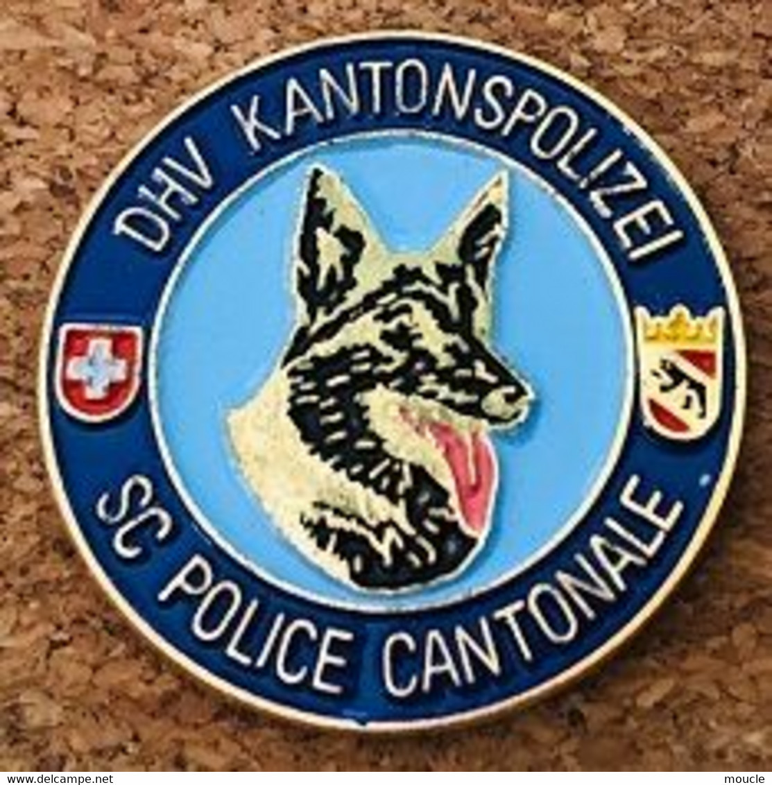 CHIENS DE POLICE - DOG - HUND - CANE - DHV KANTON POLIZEI BERN - SC POLICE CANTONALE BERNE -SUISSE-BERGER ALLEMAND-(31) - Polizei