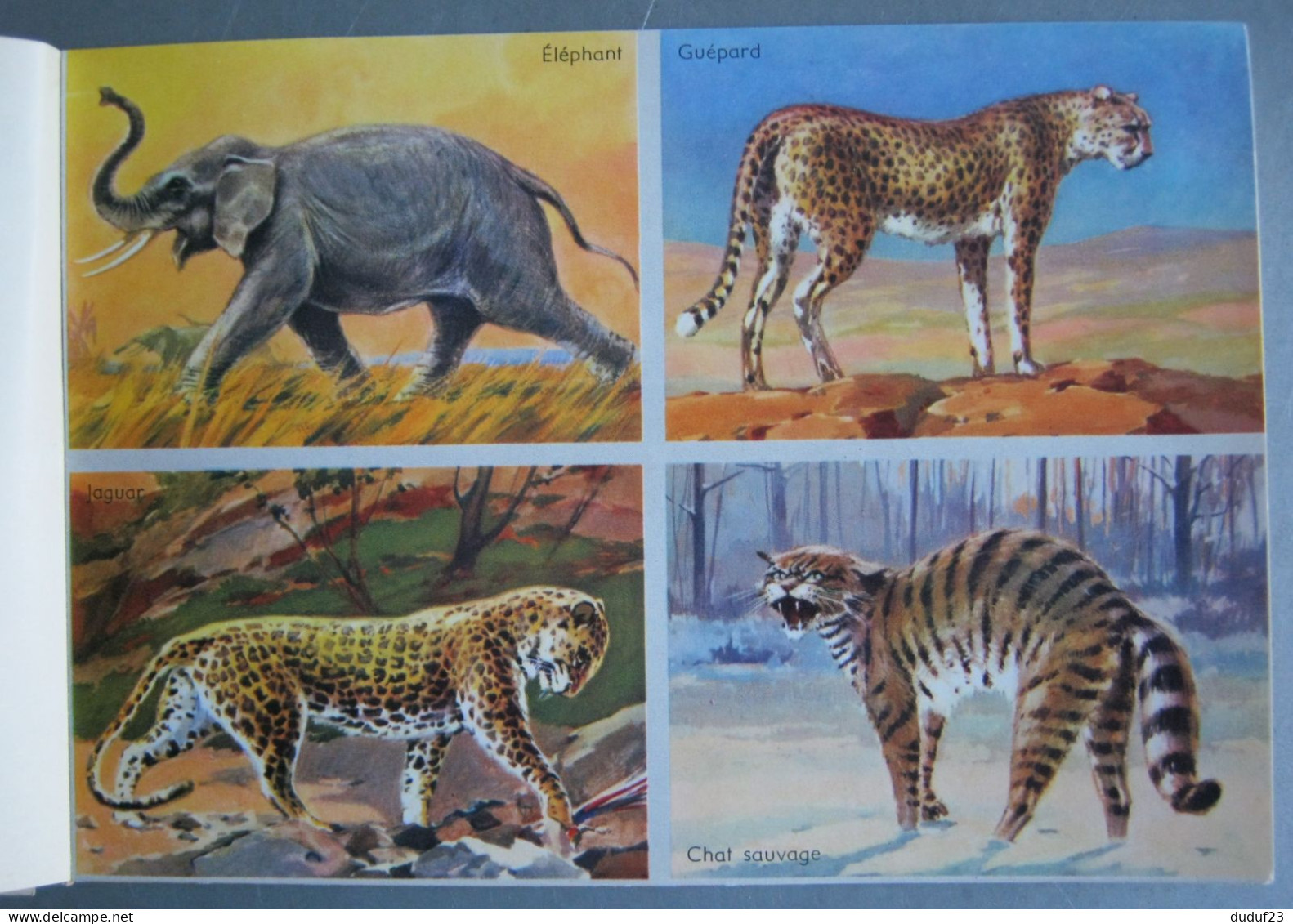 LIVRE D'IMAGES EDUCATIVES N°3 ANIMAUX SAUVAGES ALBERT ARNAUD 64 SUJETS CIRCA 1960 - Sammelbilder