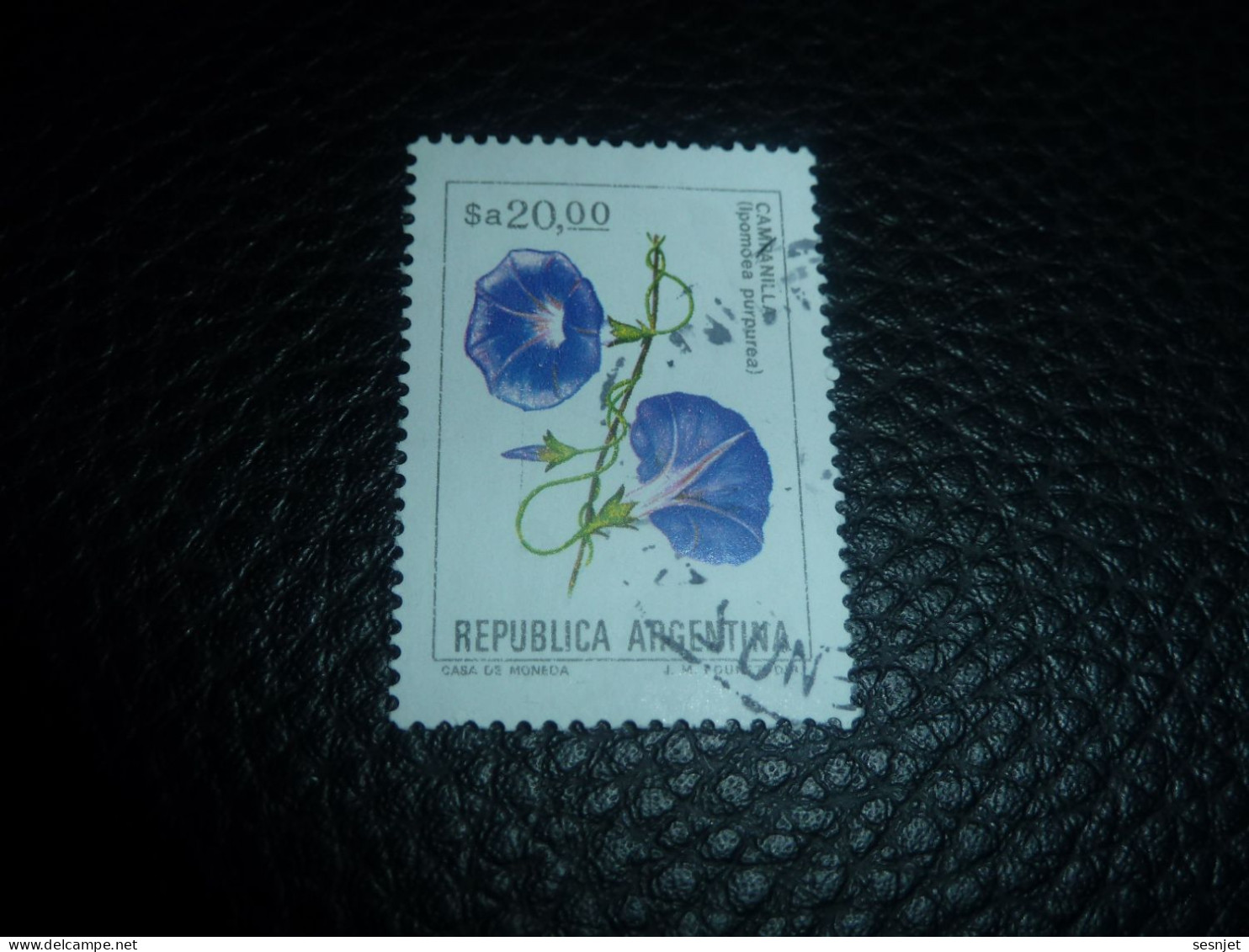 Républica Argentina - Ipomoea Purpurea - Campanilla - 20 $a - Yt 1435 - Multicolore - Oblitéré - Année 1984- - Gebraucht