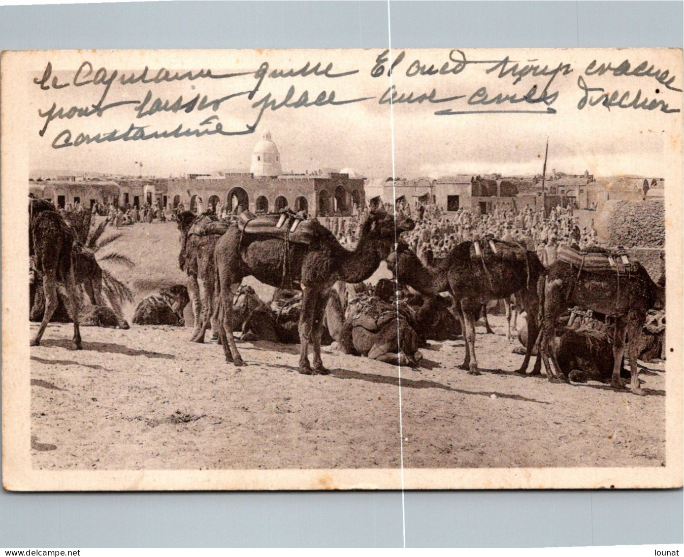 EL OUED - Le Marché    (défaut Scan Le Trait Blanc) - El-Oued