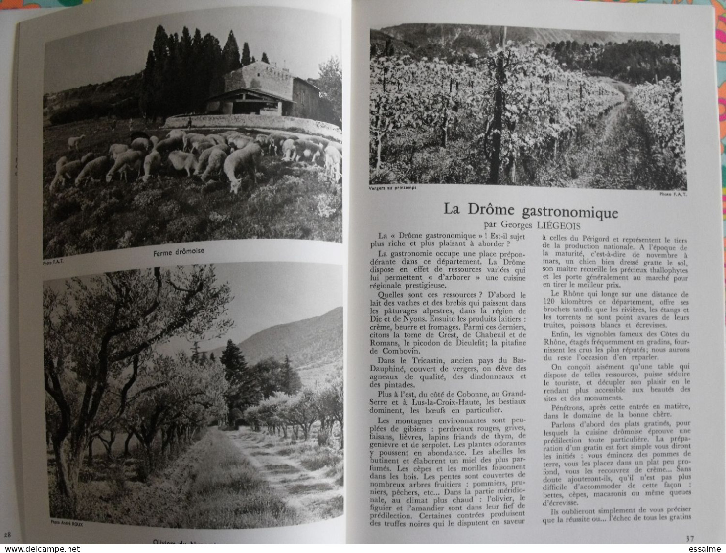 La France à table n° 141. 1969. Drome. romans soyans valence  allex montchenu montvendre beaumont nyons. gastronomie