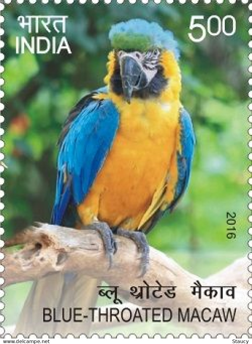 India 2016 Exotic Birds _ PARROTS 1v STAMP MNH, As Per Scan - Coucous, Touracos