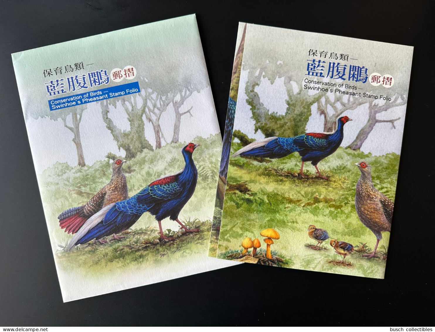 Taiwan China 2014 Conservation Of Birds Swinhoe's Pheasant Stamp Folio Oiseaux Vögel Lophura Swinhoii Folder - Gallinacées & Faisans