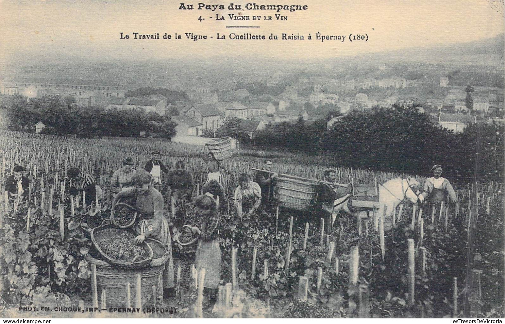 FRANCE - 51 - Epernay - Le Travail De La Vigne - La Cueillette Du Raisin - Carte Postale Ancienne - Esternay