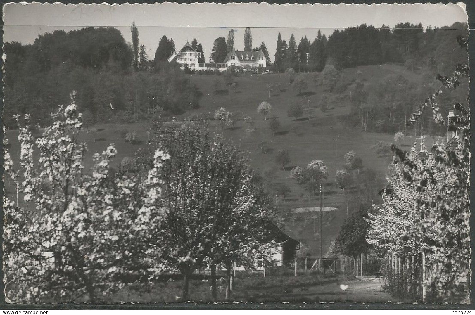 Carte P De 1939 ( Bienenberg Ob Liestal ) - Liestal