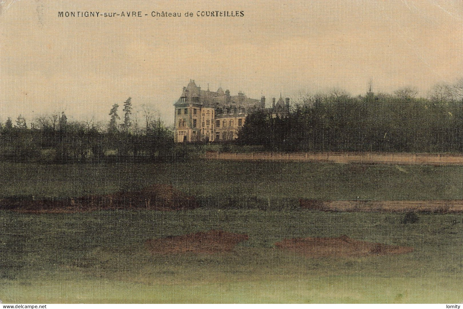 28 Montigny Sur Avre Chateau De Courteilles CPA Carte Toilée - Montigny-sur-Avre