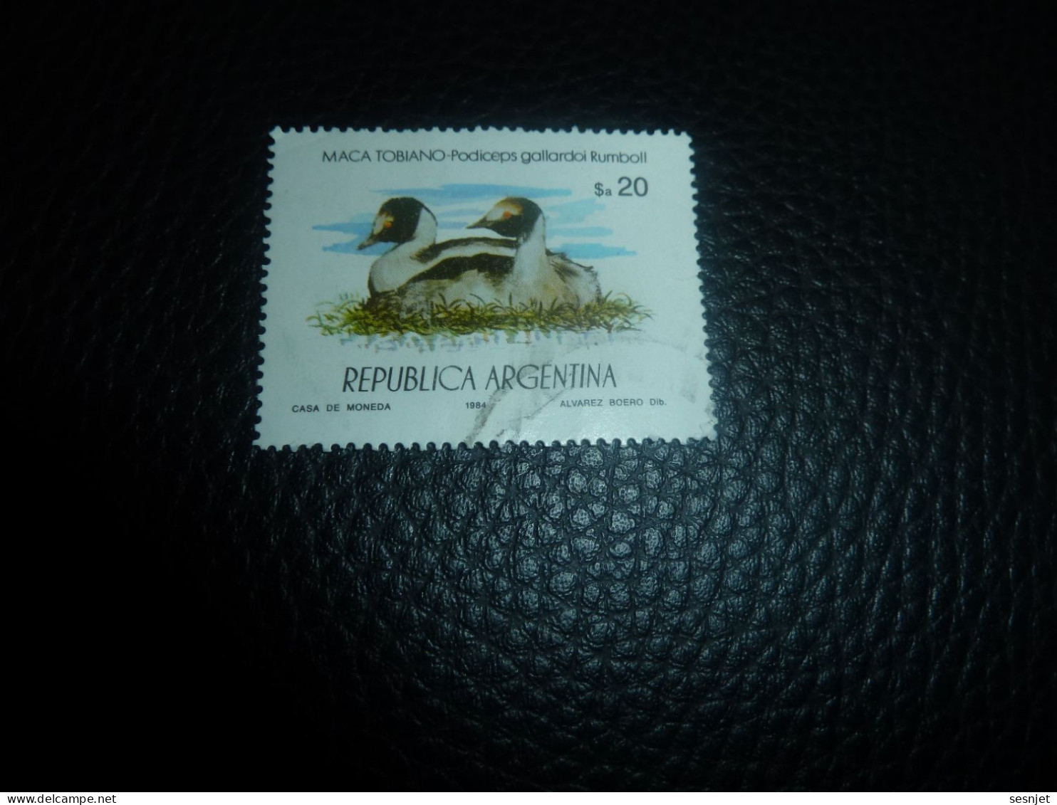 Republica Argentina - Maca Tobiano - Podiceps Gallardoi Rumboll - Yt 1434 - Multicolore - Oblitéré - Année 1984 - - Usati