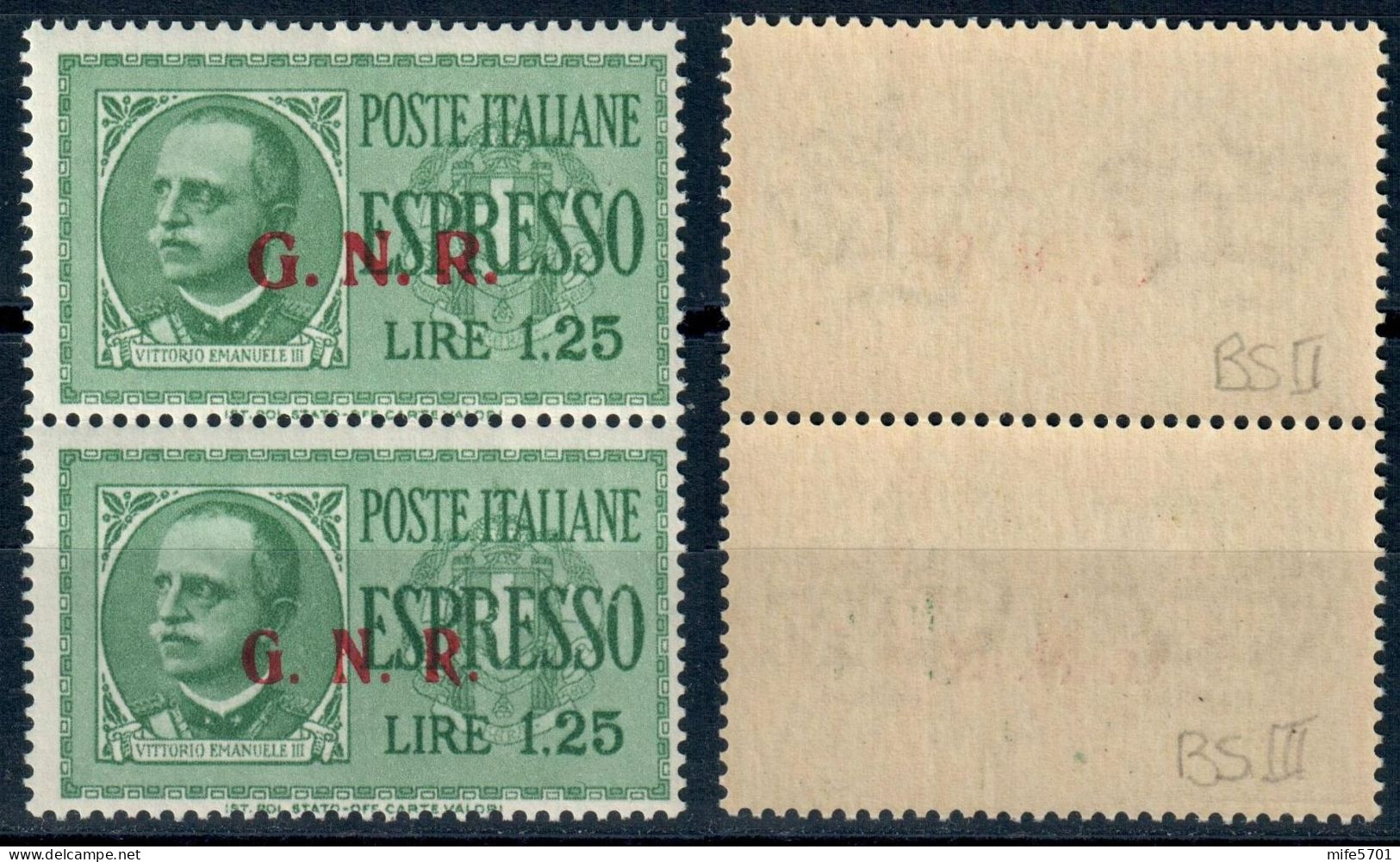 RSI COPPIA VERTICALE ESPRESSO L. 1,25 SOPRASTAMPA G.N.R. DEL II E III TIPO - NUOVI MNH ** - SASSONE E19II - E19III - Express Mail