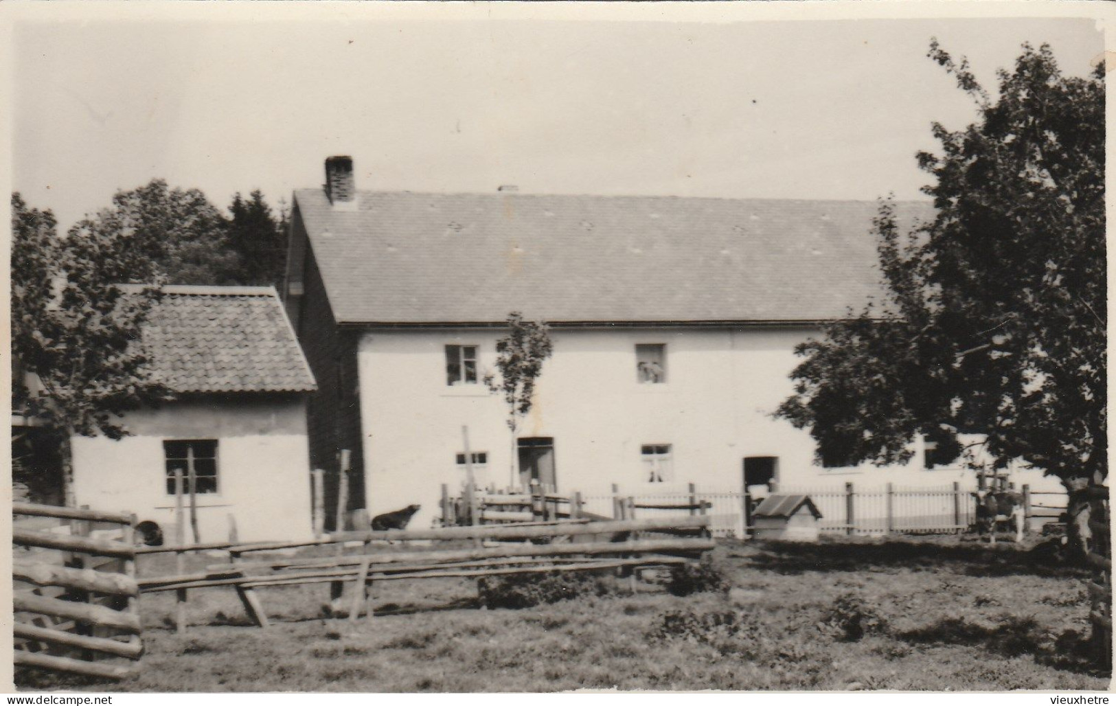 AMBLEVE AMEL  HEPPENBACH ?  Photo Carte - Amblève - Amel