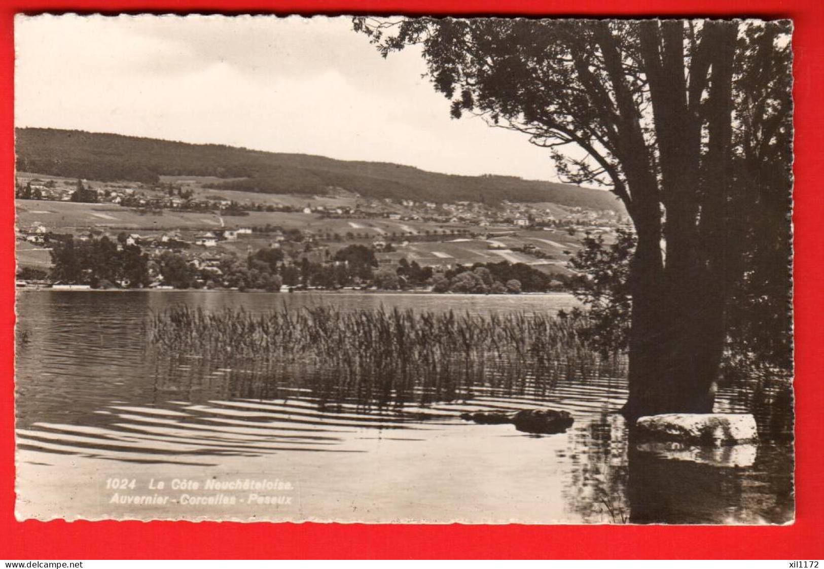 GLF-15 La Côte Neuchâteloise Auvernier Corcelles Peseux   Circulé 1941 - Auvernier