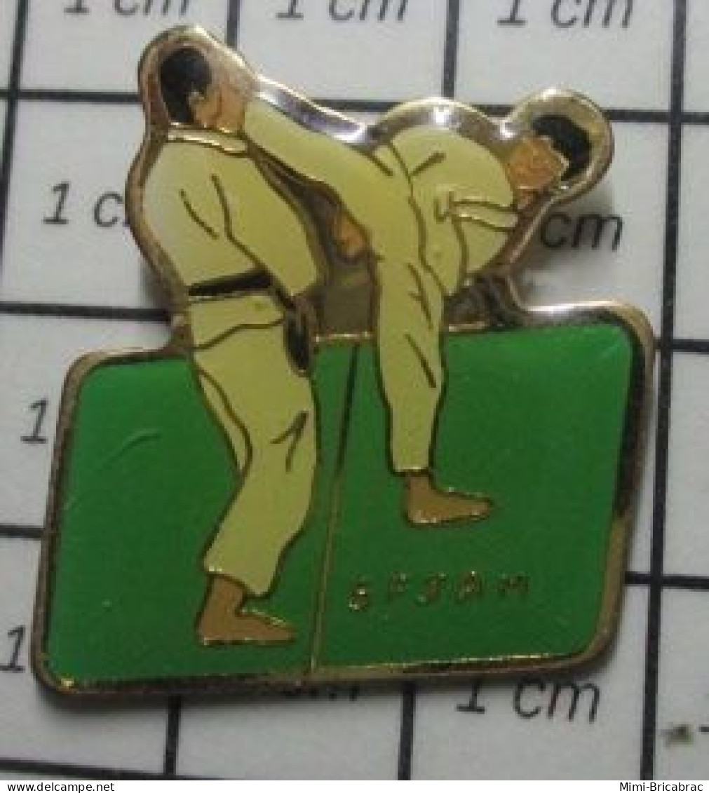 410A Pin's Pins / Beau Et Rare / SPORTS / JUDO KARATE CLUB SFJAM ? - Judo