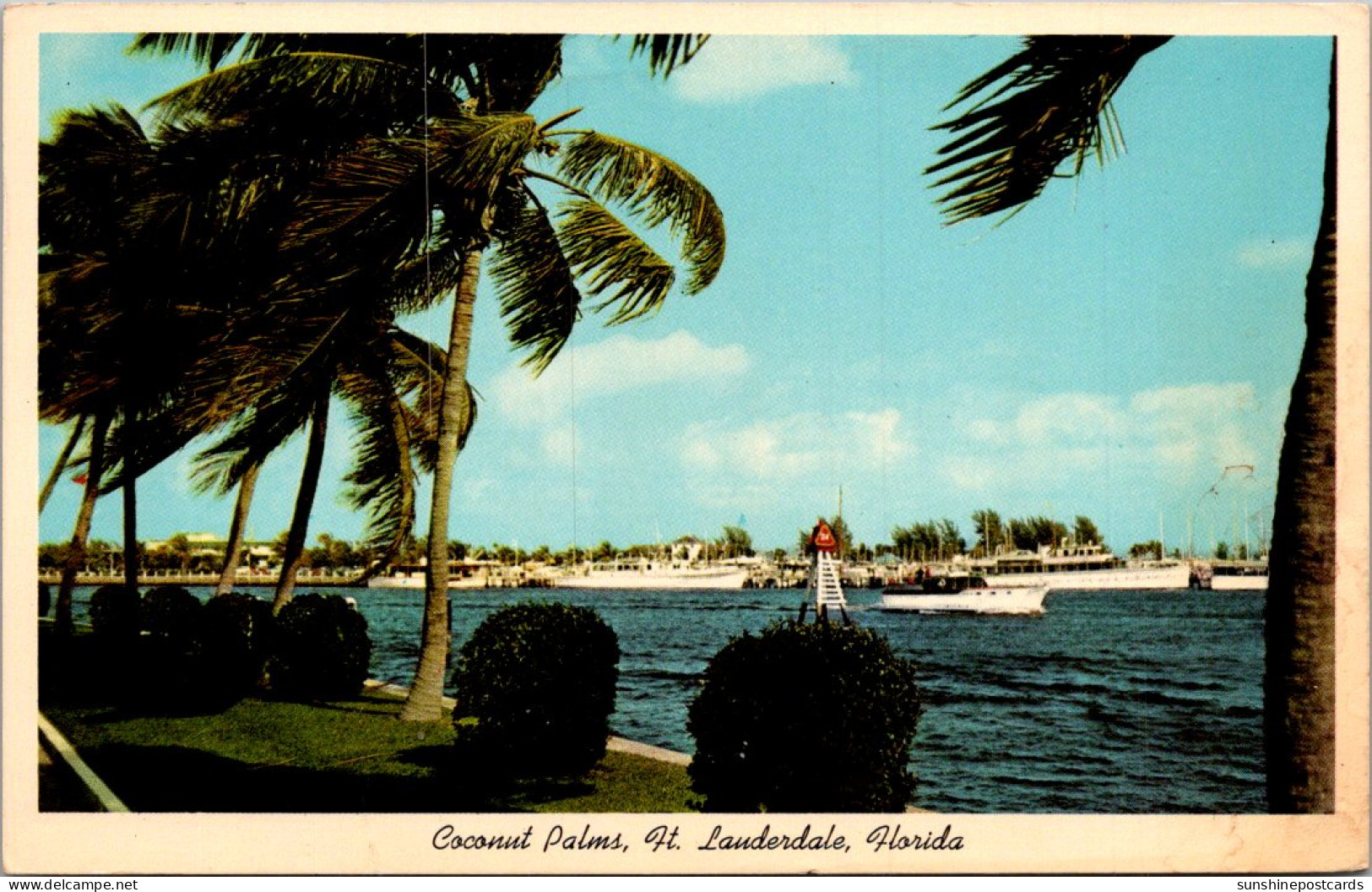 Florida Fort Lauderdale Showing Coconut Palms Along The Island Waterway 1967 - Fort Lauderdale