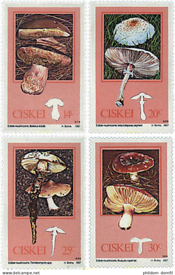 36234 MNH CISKEI 1987 SETAS - Ciskei