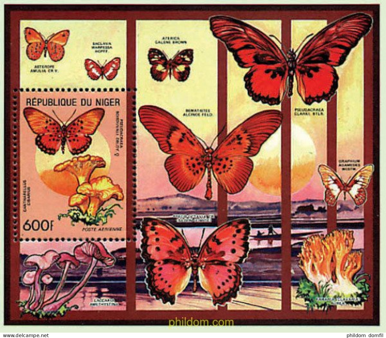 76558 MNH NIGER 1991 MARIPOSAS Y SETAS - Spinnen