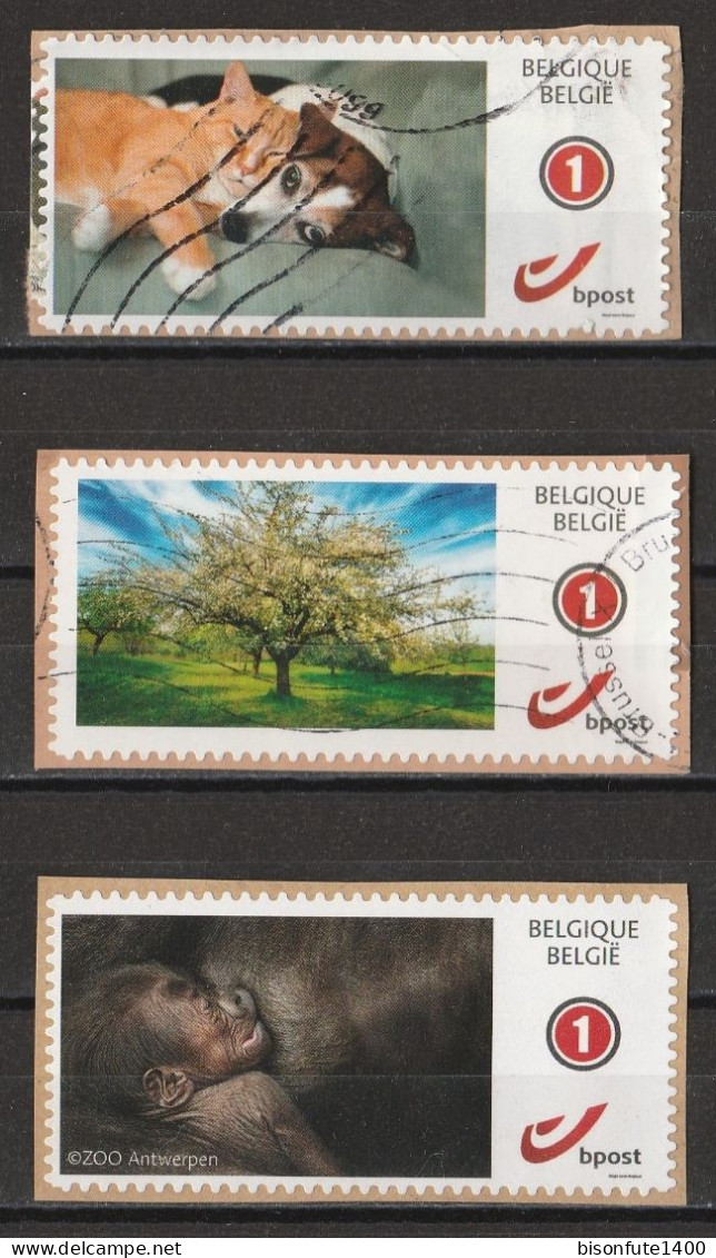 Lot De 3 Timbres Personnalisés DUOSTAMPS Belgique Oblitérés ( Voir Photos ). - Usati