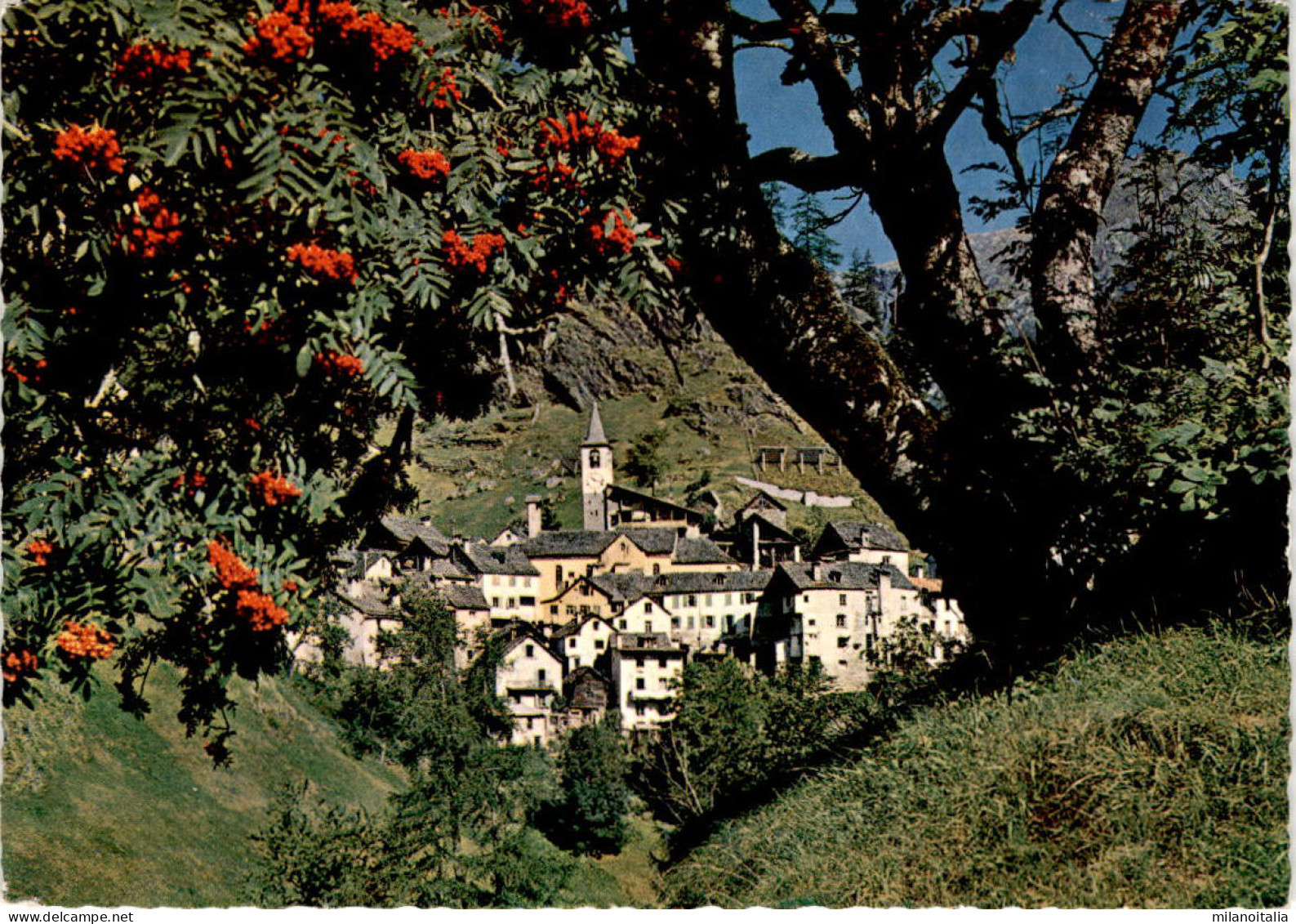 Fusio - Valle Maggia (6305) - Maggia