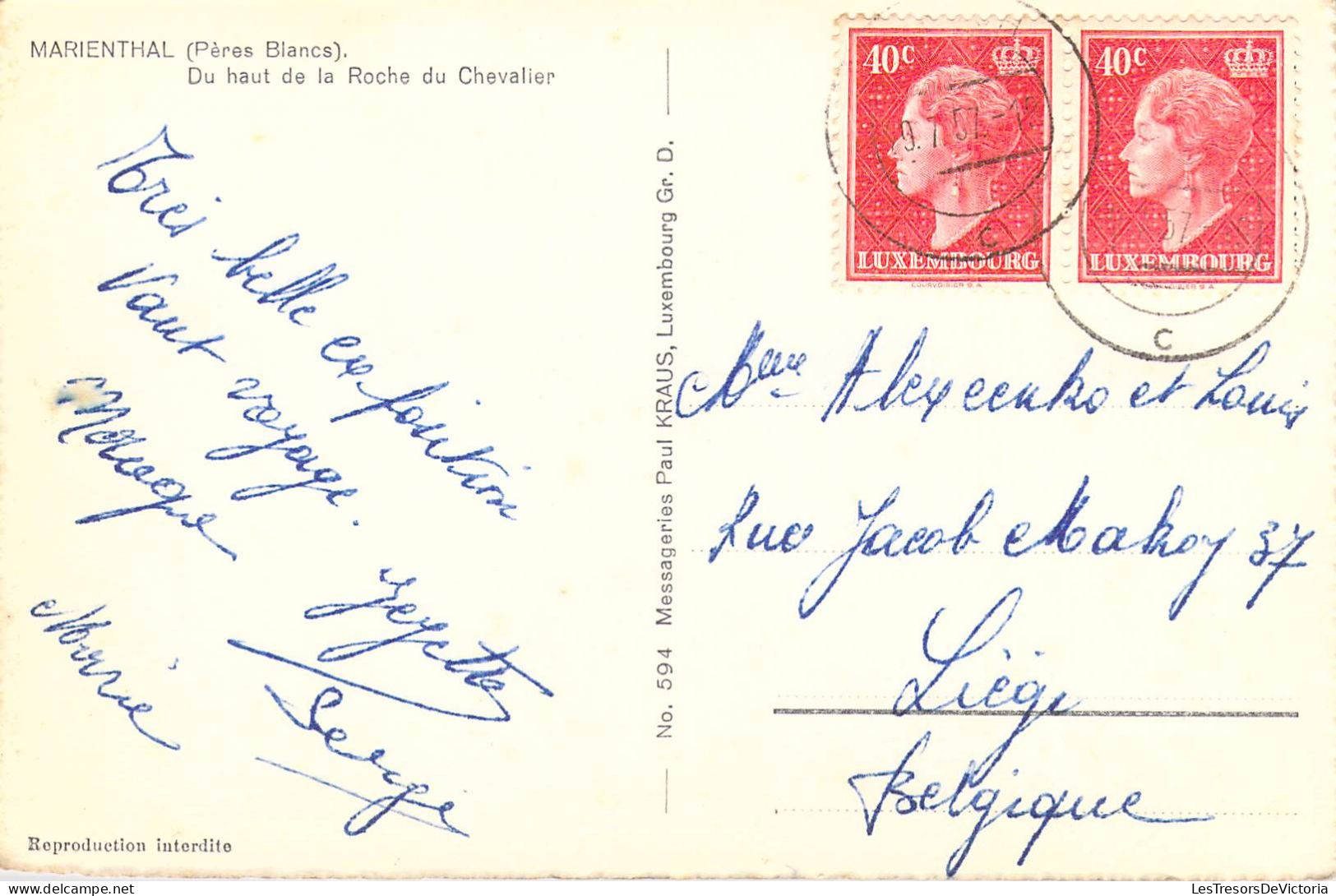 FRANCE - 67 - Haguenau - Marienthal ( Pères Blancs ) - Du Haut De La Roche Du Chevalier  - Carte Postale Ancienne - Haguenau