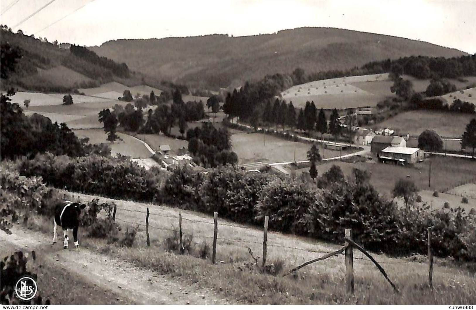 Trou De Bra - Panorama De La Vallée De La Lienne (Nels) - Lierneux