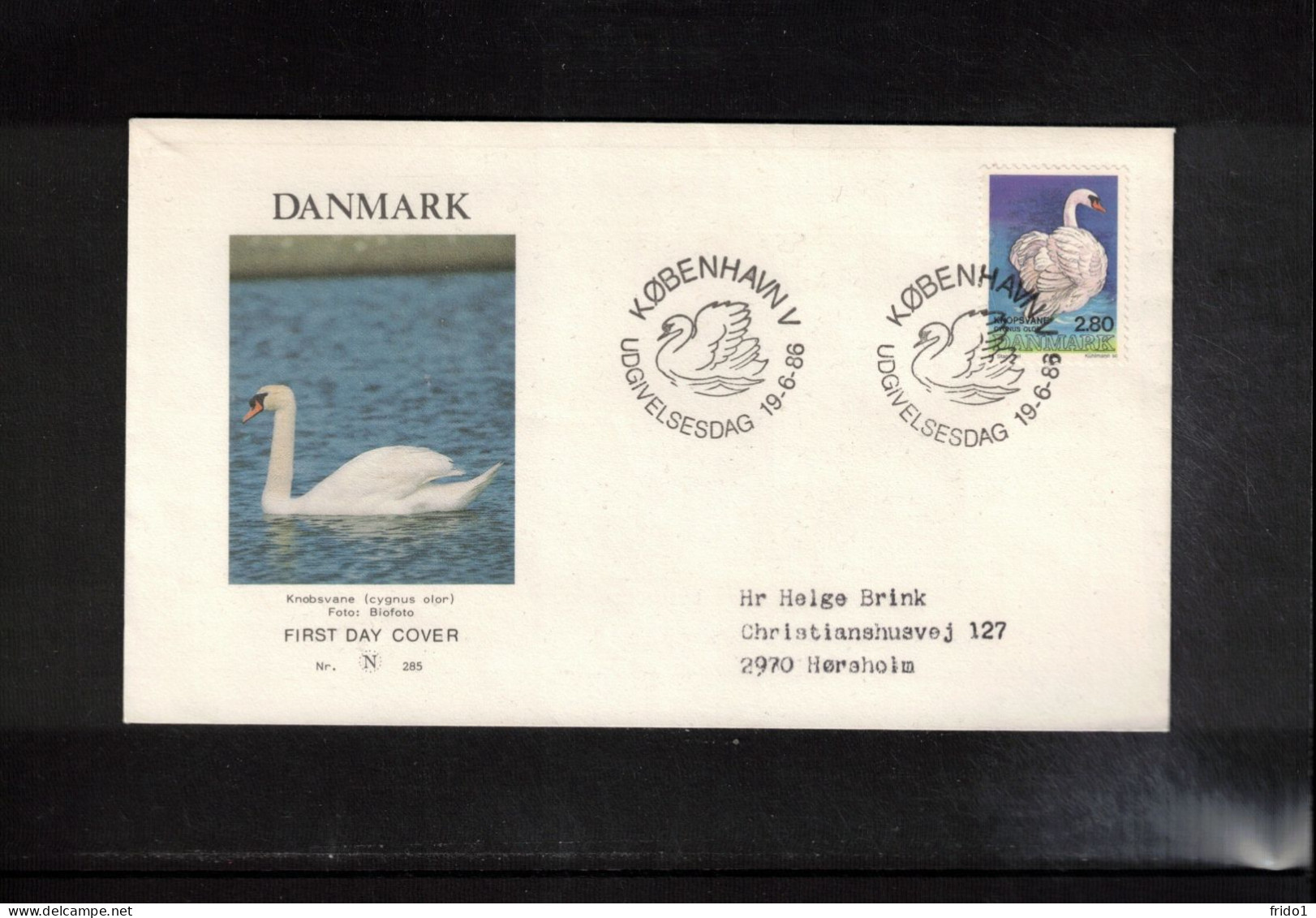 Denmark 1986 Swan Interesting Cover FDC - Zwanen