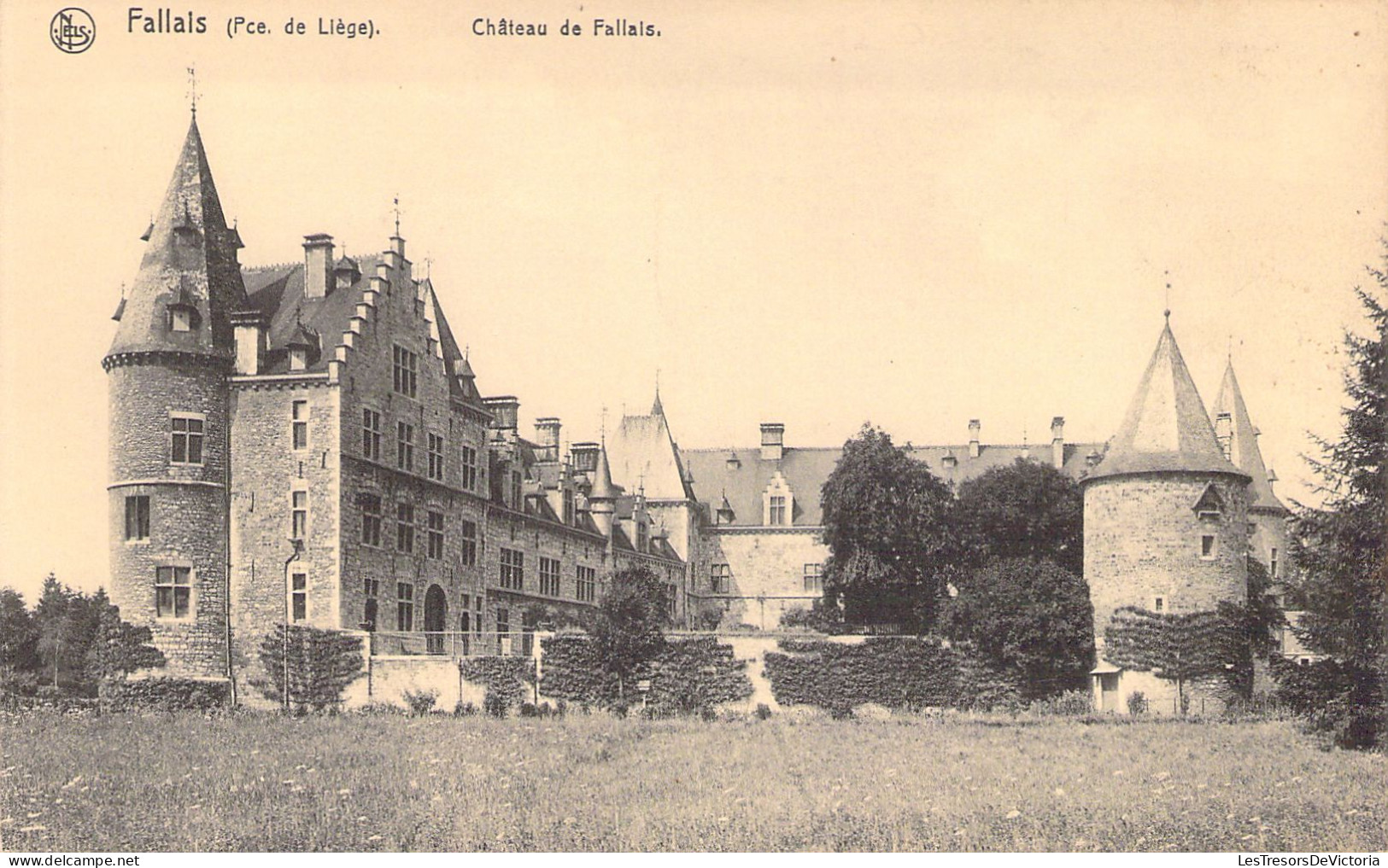 BELGIQUE - Fallais - Château De Fallais - Carte Postale Ancienne - Autres & Non Classés