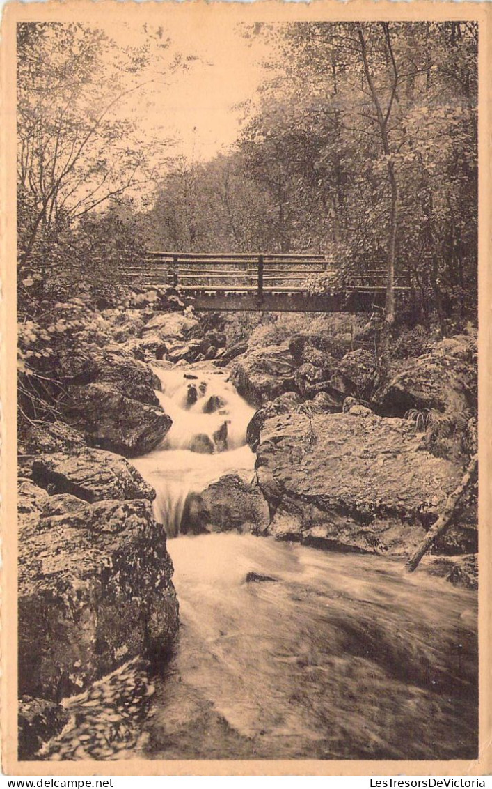 BELGIQUE - SPA - La Hoegne - Le Pont Des Forestiers - Carte Postale Ancienne - Spa