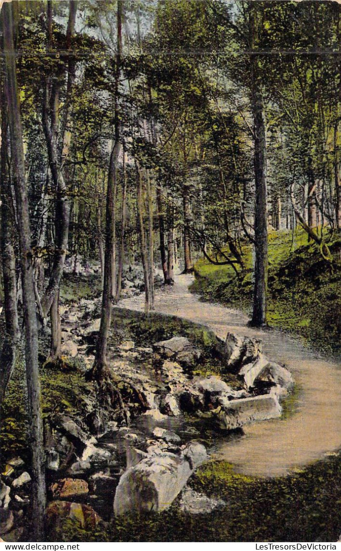 BELGIQUE - SPA - Promenade Meyerbeer - Carte Postale Ancienne - Spa