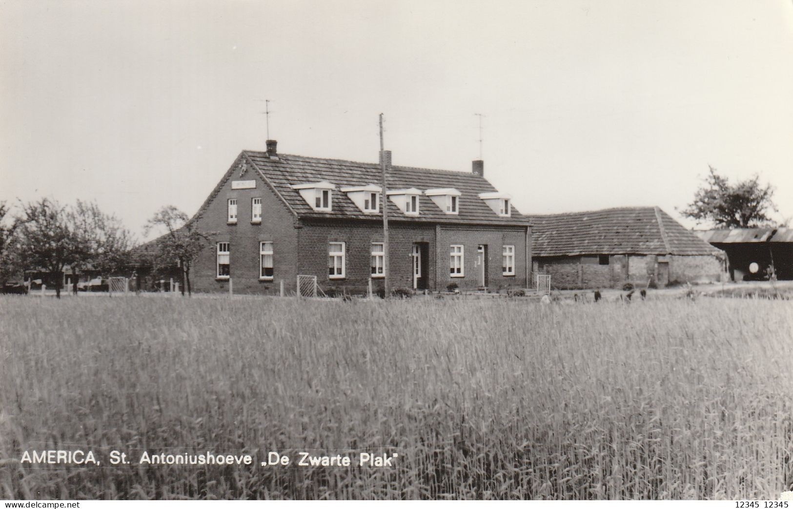 America, St. Antoniushoeve De Zwarte Plak - Horst