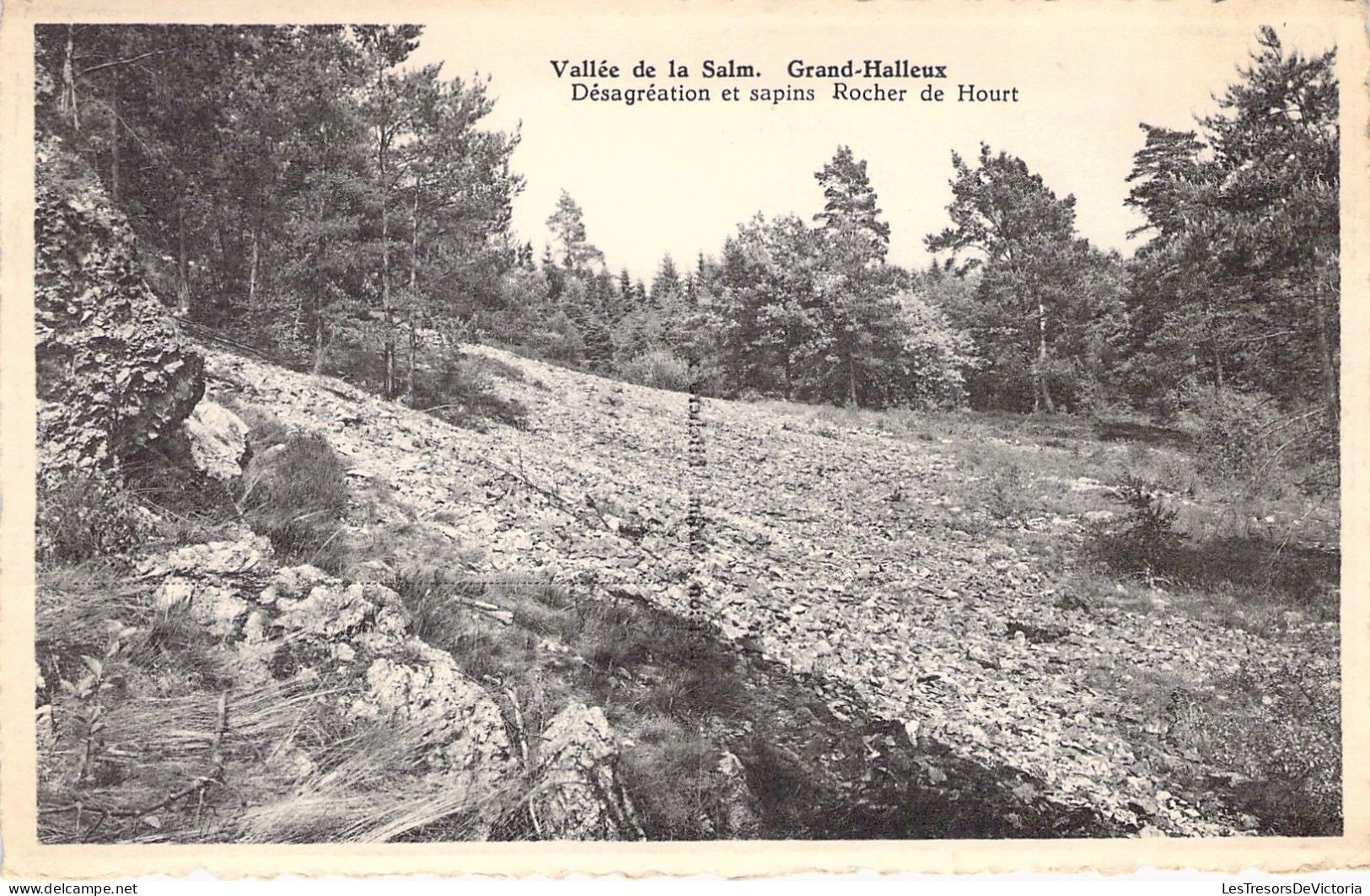 BELGIQUE - Vallée De La Salm - Grand Halleux - Désagréation Et Sapins Rocher De Hourt - Carte Postale Ancienne - Other & Unclassified