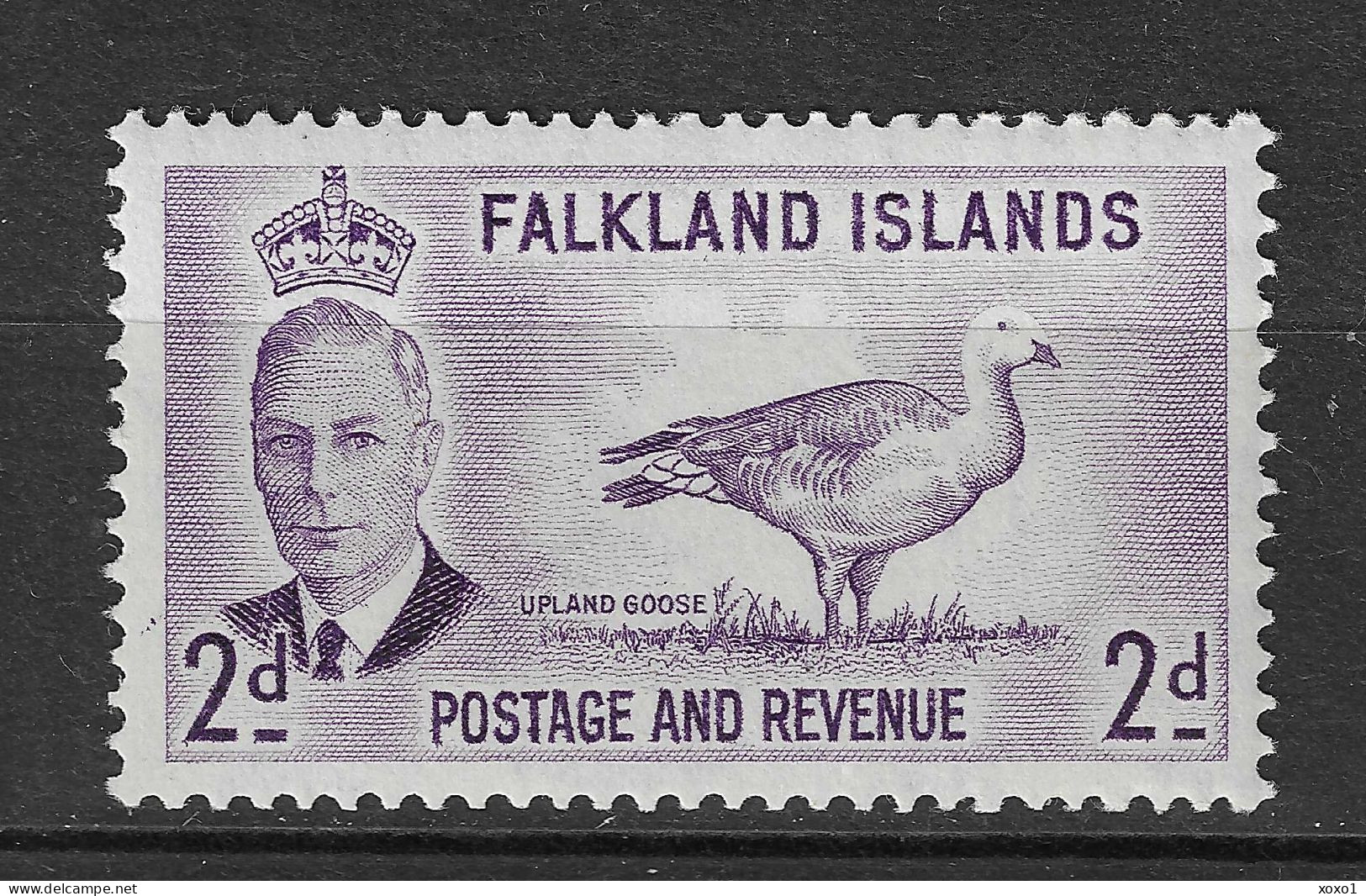 Falkland Islands 1952 MiNr. 104 Falklandinseln Birds Upland Goose 1v MNH**  6,00 € - Gansos