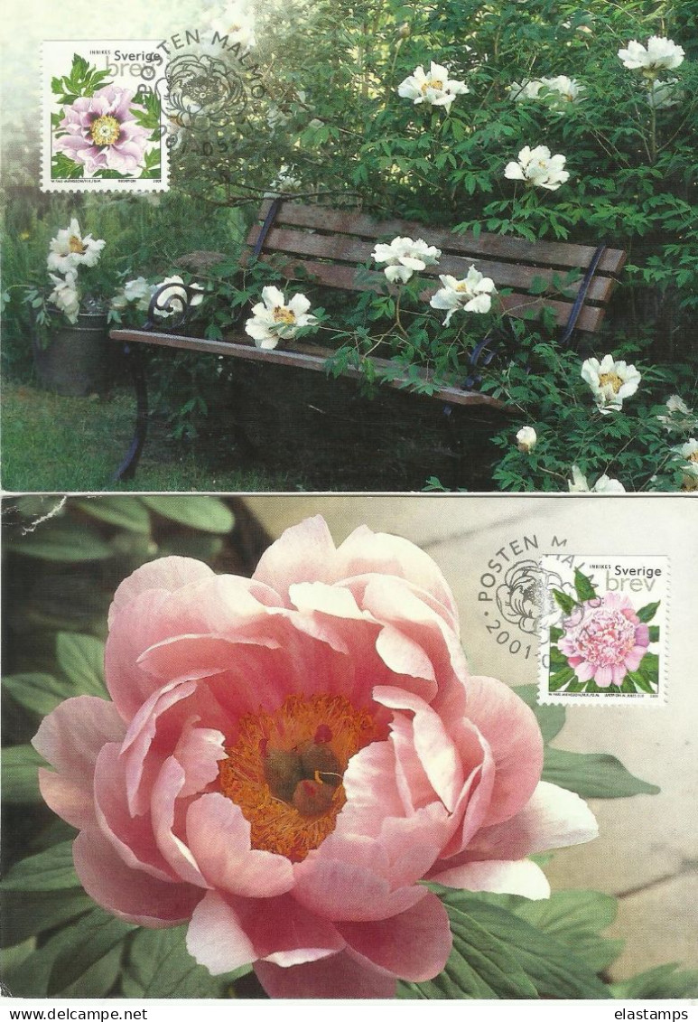 SV  MC*2 BLUMEN 2001 - Maximum Cards & Covers