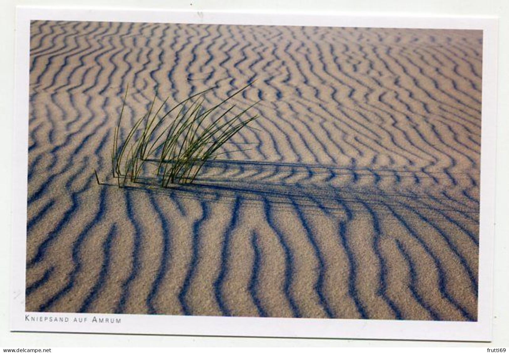 AK 131366 GERMANY - Kniepsand Auf Amrum - Nordfriesland