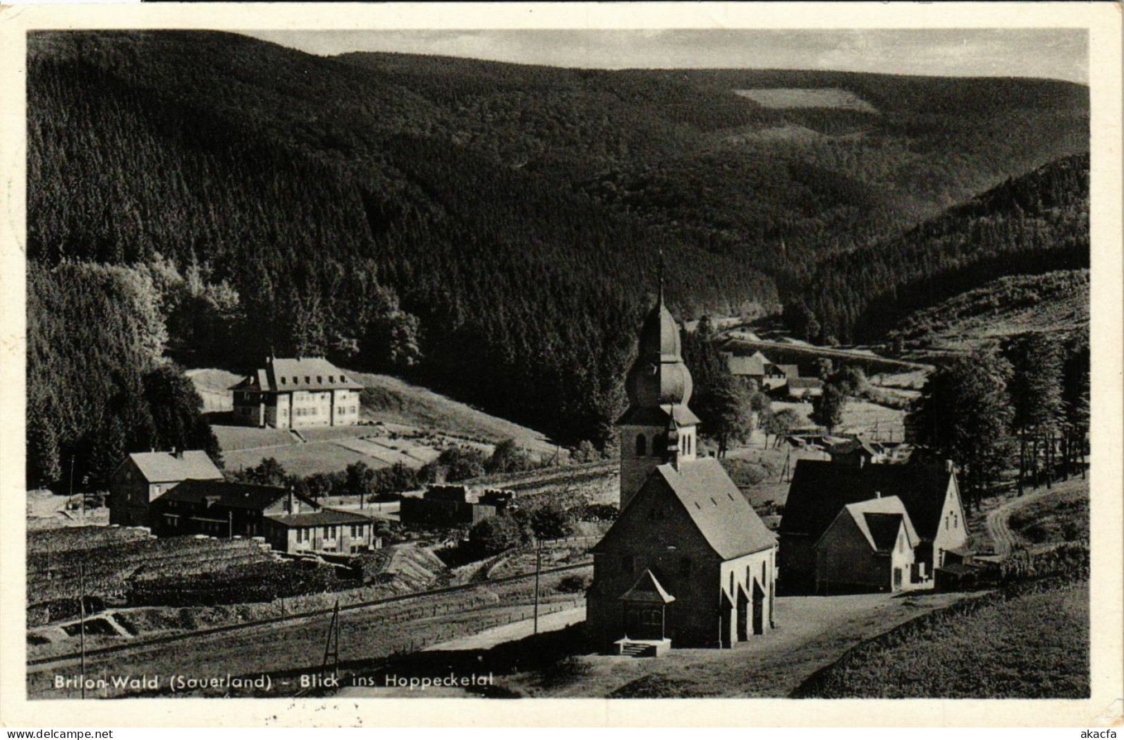 CPA AK Brilon -Brilon-Wald -Blick Ins Hoppecketal GERMANY (858020) - Brilon