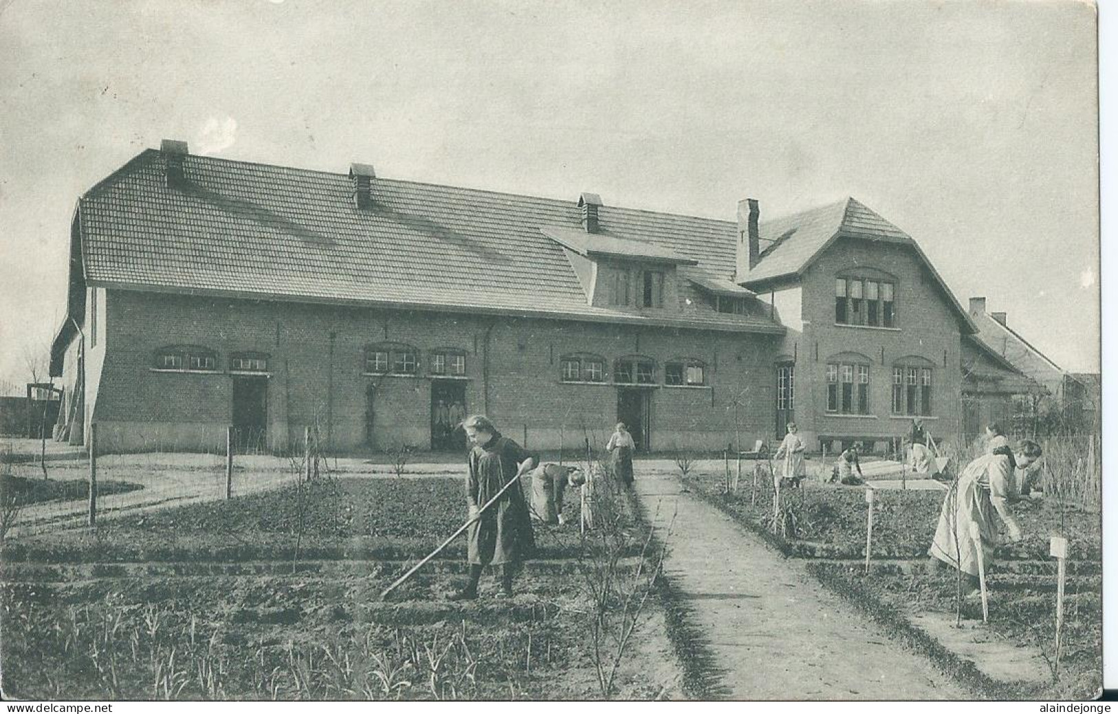 Berlaar - Berlaer - Pensionaat H. Hart Van Maria - Modelhoeve - Practische Les - 1914 - Berlaar