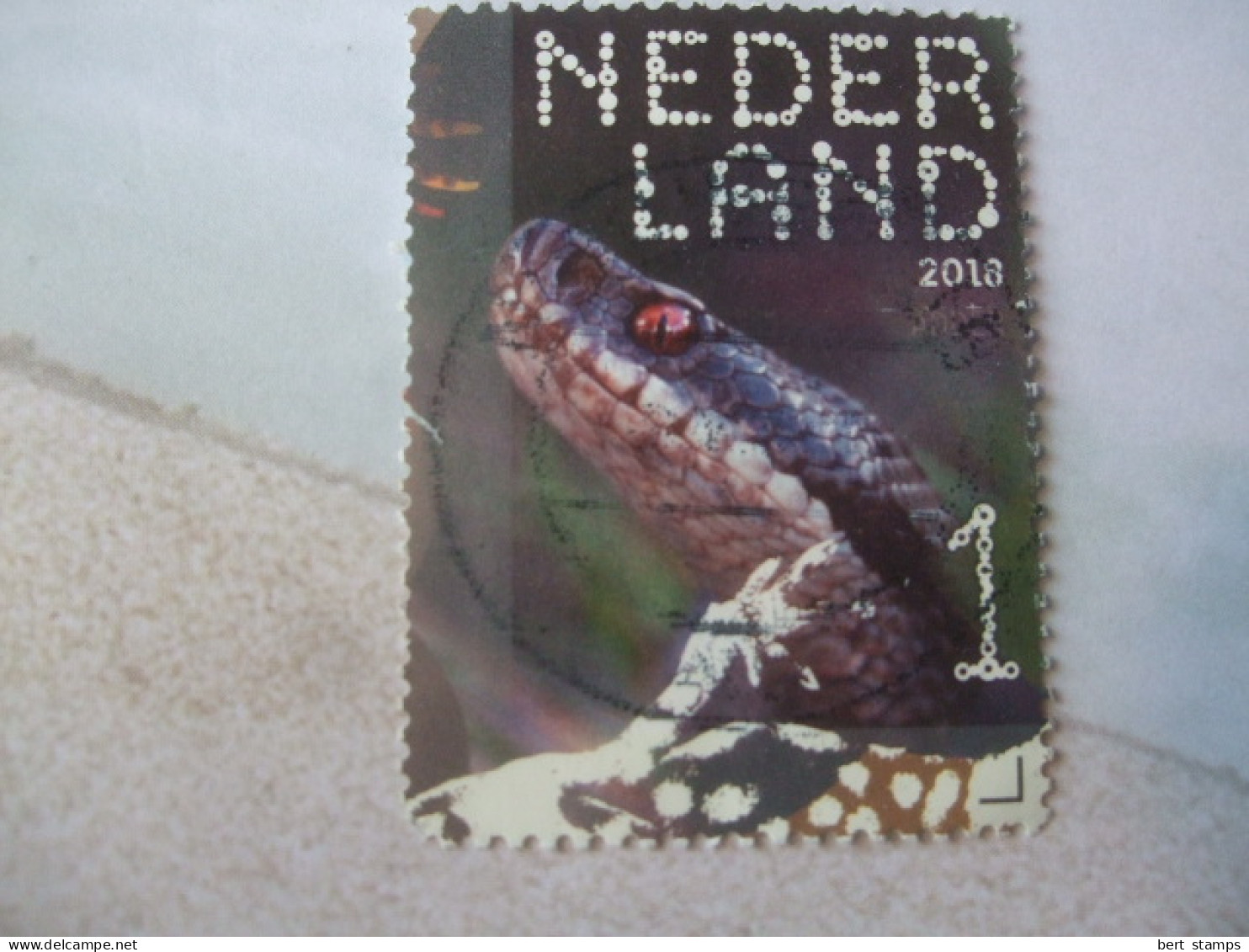 Nederland Beleef De Natuur Gebruikt Nr3604 Adder - Used Stamps