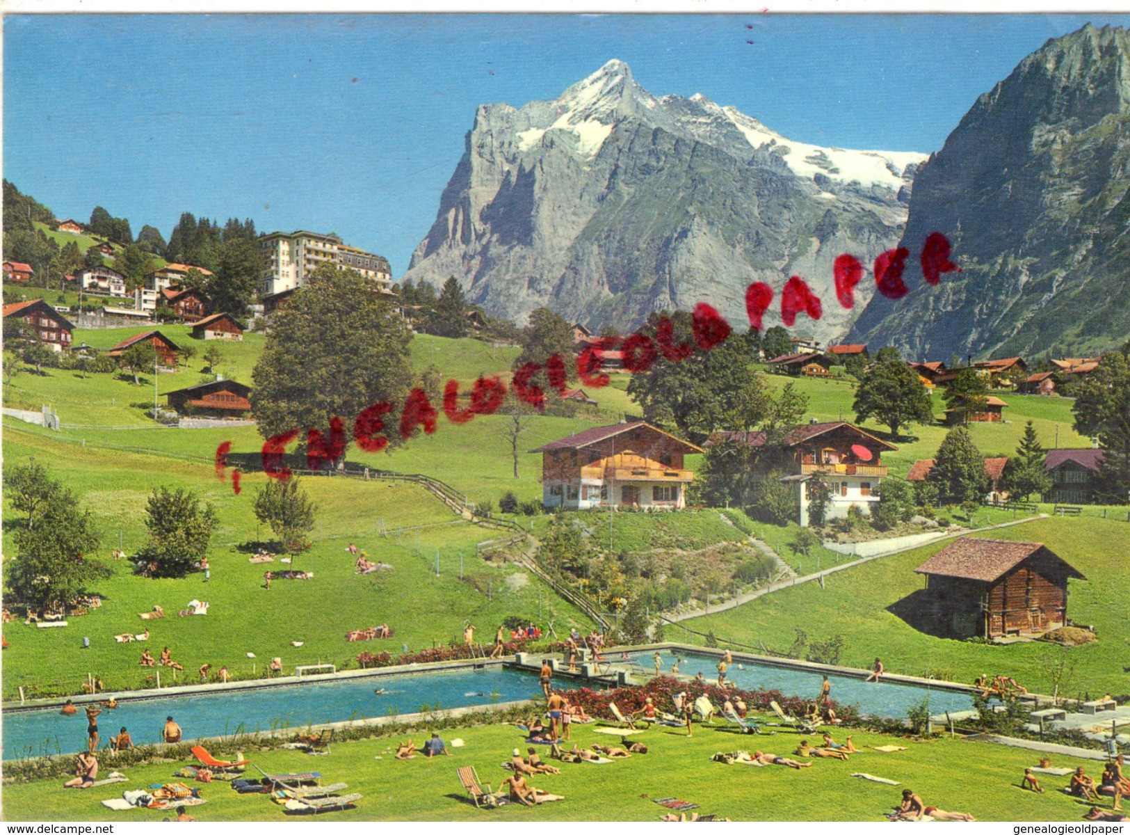 SUISSE - GRINDEWALD  GARTENBAD HELLBACH MIT WETTERHORN - Wald