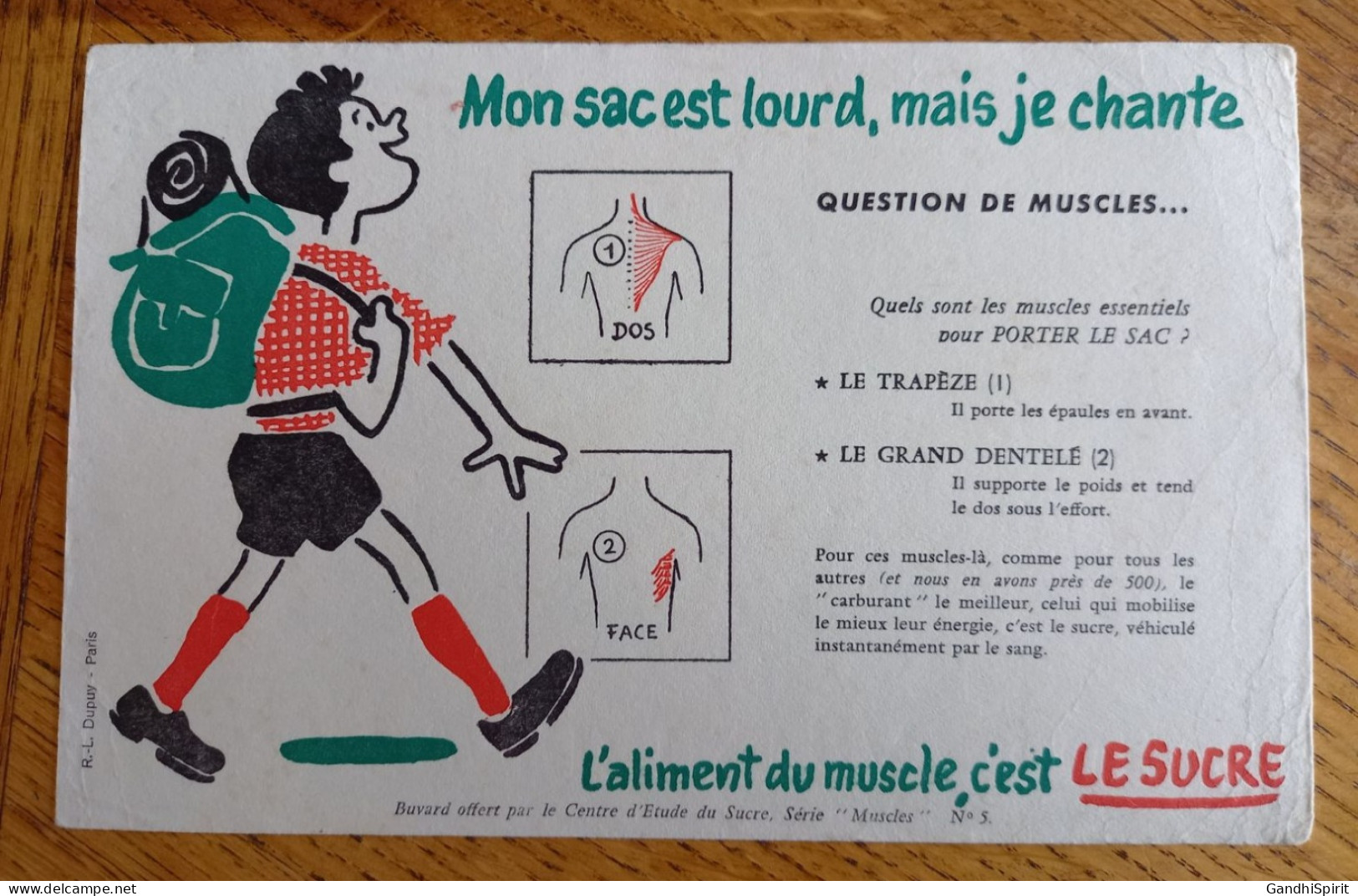 Buvard - L'Aliment Du Muscle C'est Le Sucre, Centre D'étude Du Sucre N°5 - Sucreries & Gâteaux