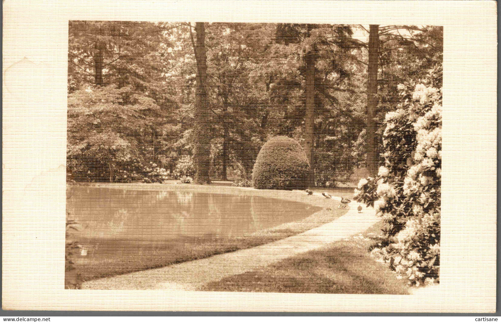 NEW-YORK 1930's - Rare Carte-photo De Belmont Park (LONG ISLAND - North Babylon) - Parks & Gardens