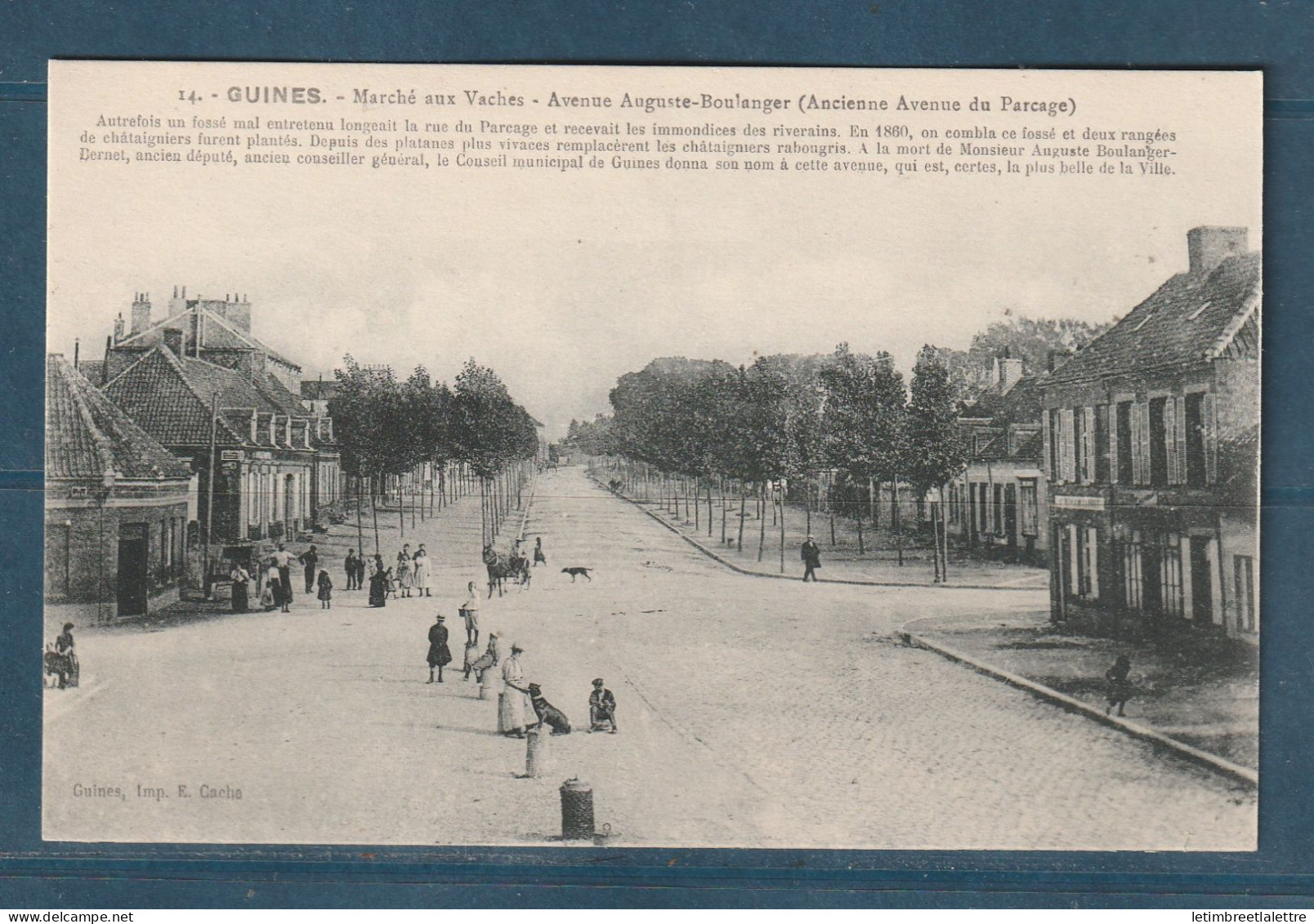 France - Carte Postale - CPA - Guines - Marché Aux Vaches - Guines