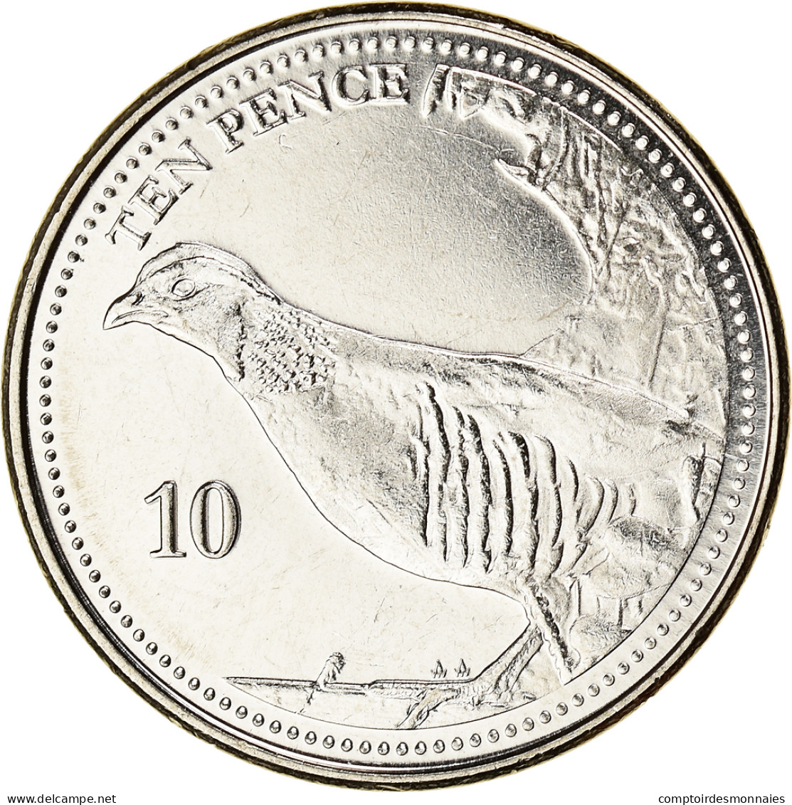 Monnaie, Gibraltar, Barbary Partridge, 10 Pence, 2020, SPL, Acier Plaqué Nickel - Gibraltar