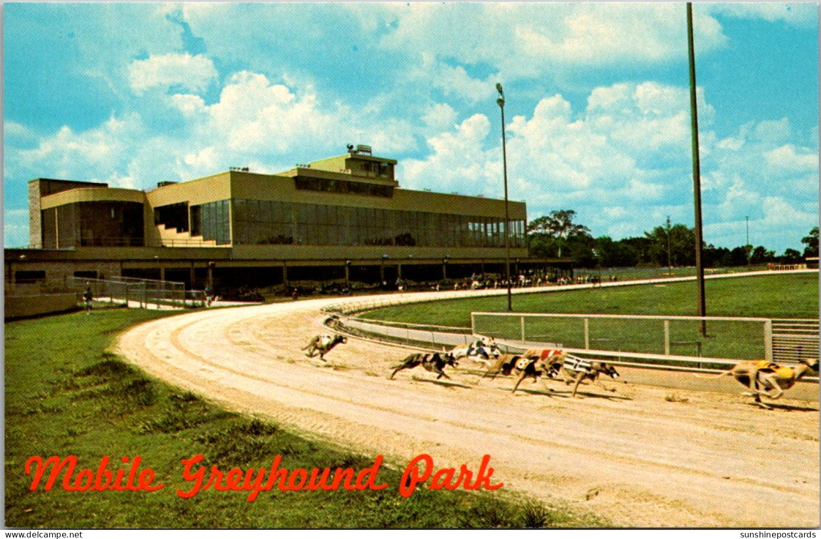 Alabama Theodore The Mobile Greyhound Park Greyhound Racing - Mobile