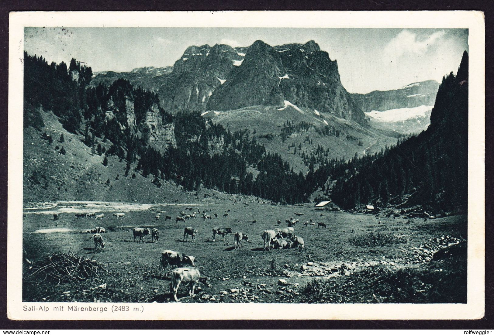 1923 Gelaufene AK SALI Alp Gestempelt MUOTATHAL Sowie BISISTHAL Und Gasthaus Stempel Schwarzenbach - Muotathal