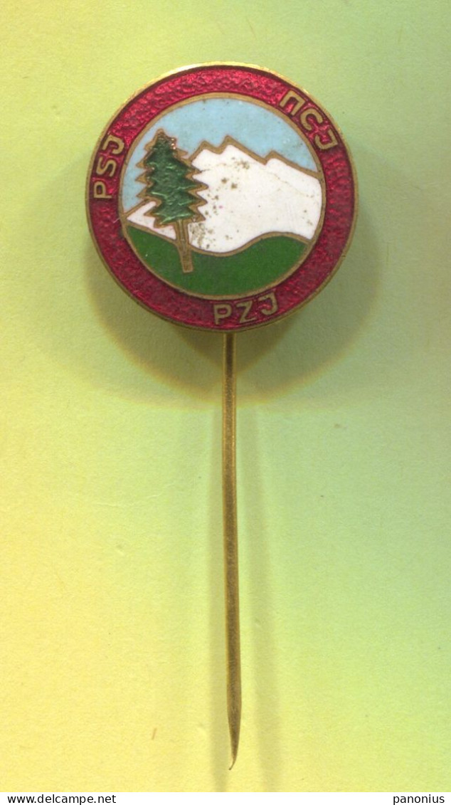 Alpinism Mountaineering - PSJ Yugoslavia Association, Vintage Pin Badge Abzeichen, Enamel - Alpinisme