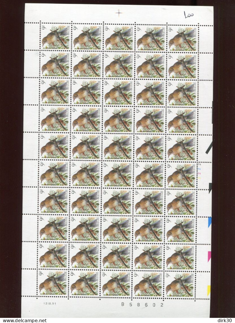 Belgie Buzin Vogels 2426 Volledig Vel Drukdatum 12/9/1991 Plaatnummer Numéro De Planche 2 - 1991-2000