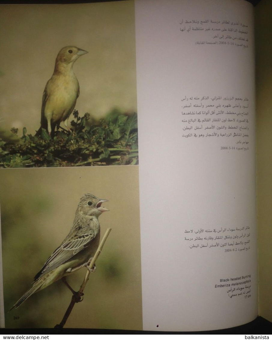 KUWAIT Birds Of Kuwait A Portrait Abdullah F. Alfadhel Ornithology