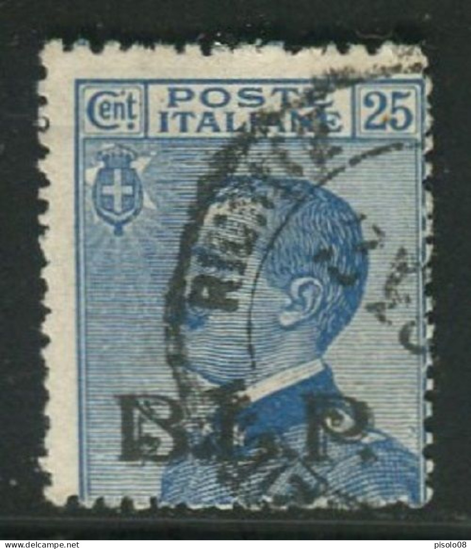 REGNO B.L.P. 19212-23 25 C. II TIPO N. 8 USATO F.TO VIGNATI - Timbres Pour Envel. Publicitaires (BLP)