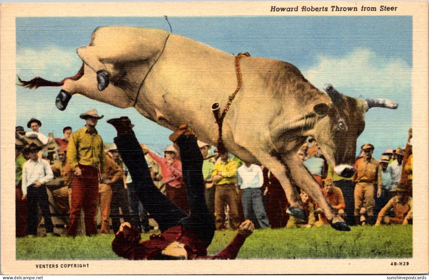 Oklahoma Rodeo Scene "Steer Riding" Howard Roberts Thrown From Steer Curteich - Otros & Sin Clasificación