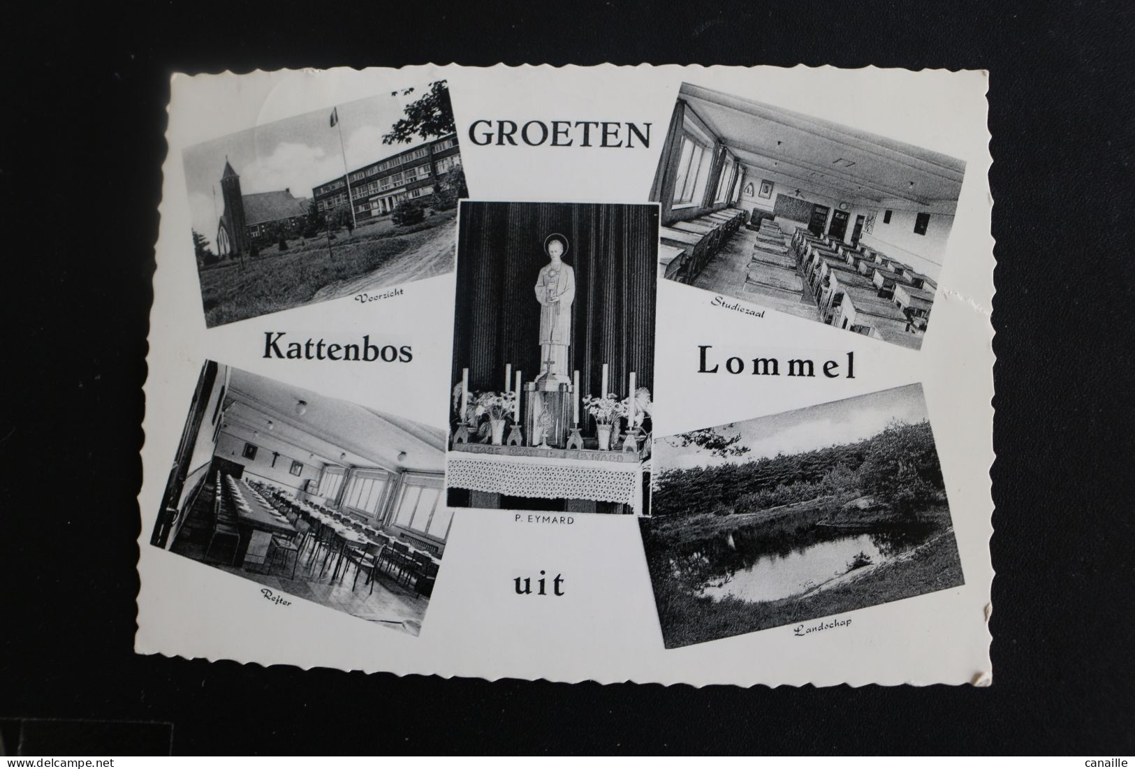 S-L 122 / Limbourg - Lommel, Groeten Uit Kattenbos   / 1970 - Lommel