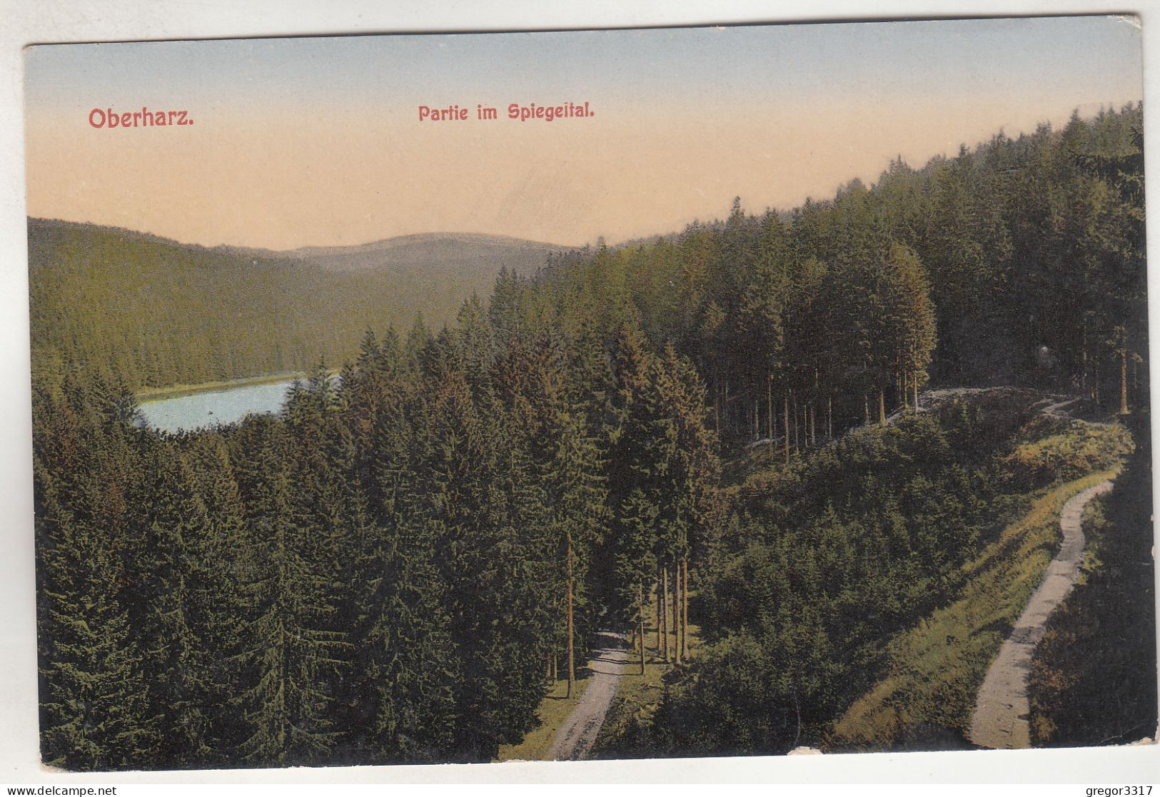 C8762) OBERHARZ - Partie Im Spiegeltal - ALT - Oberharz