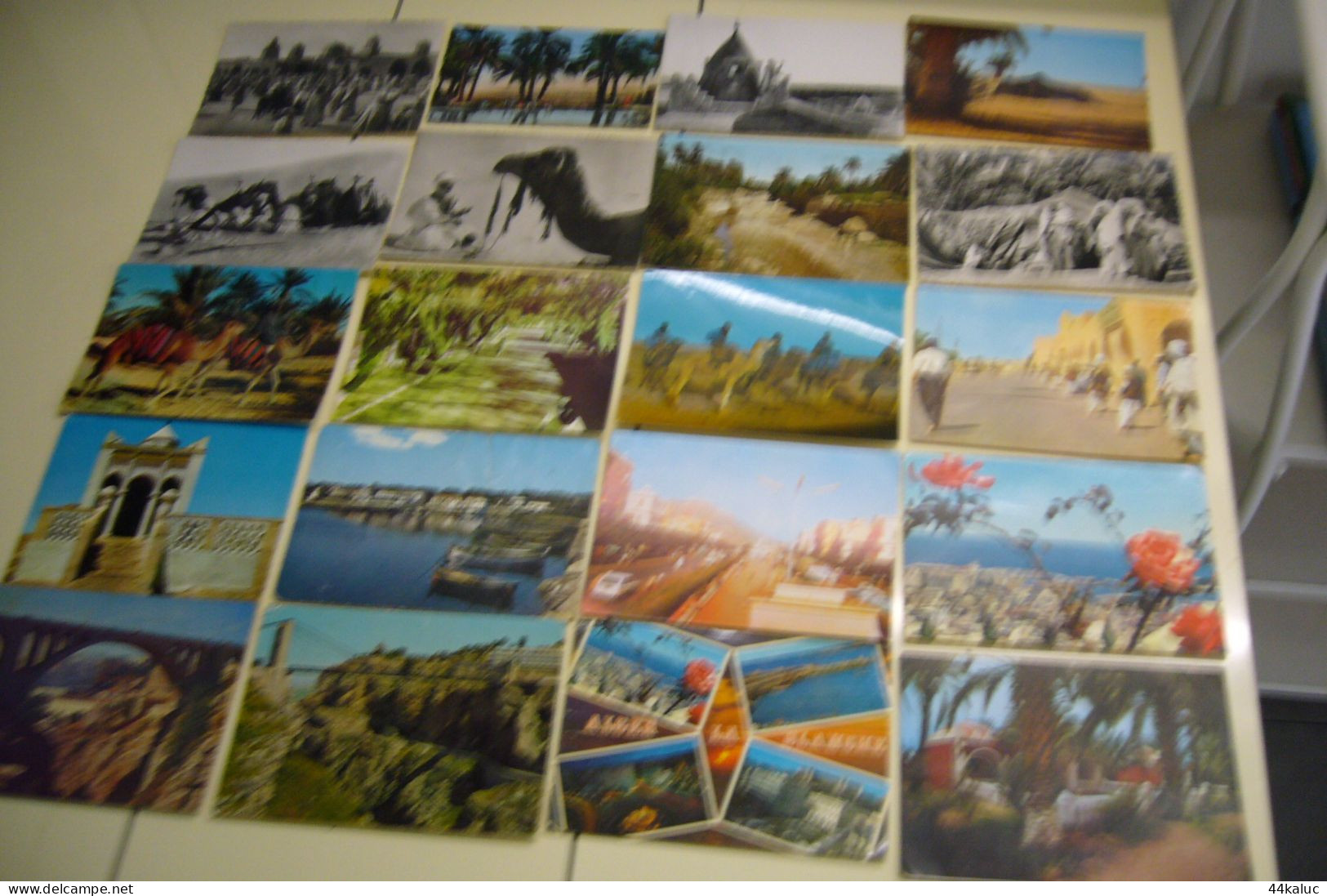 Lot De 86 CPM D'ALGERIE - Colecciones Y Lotes