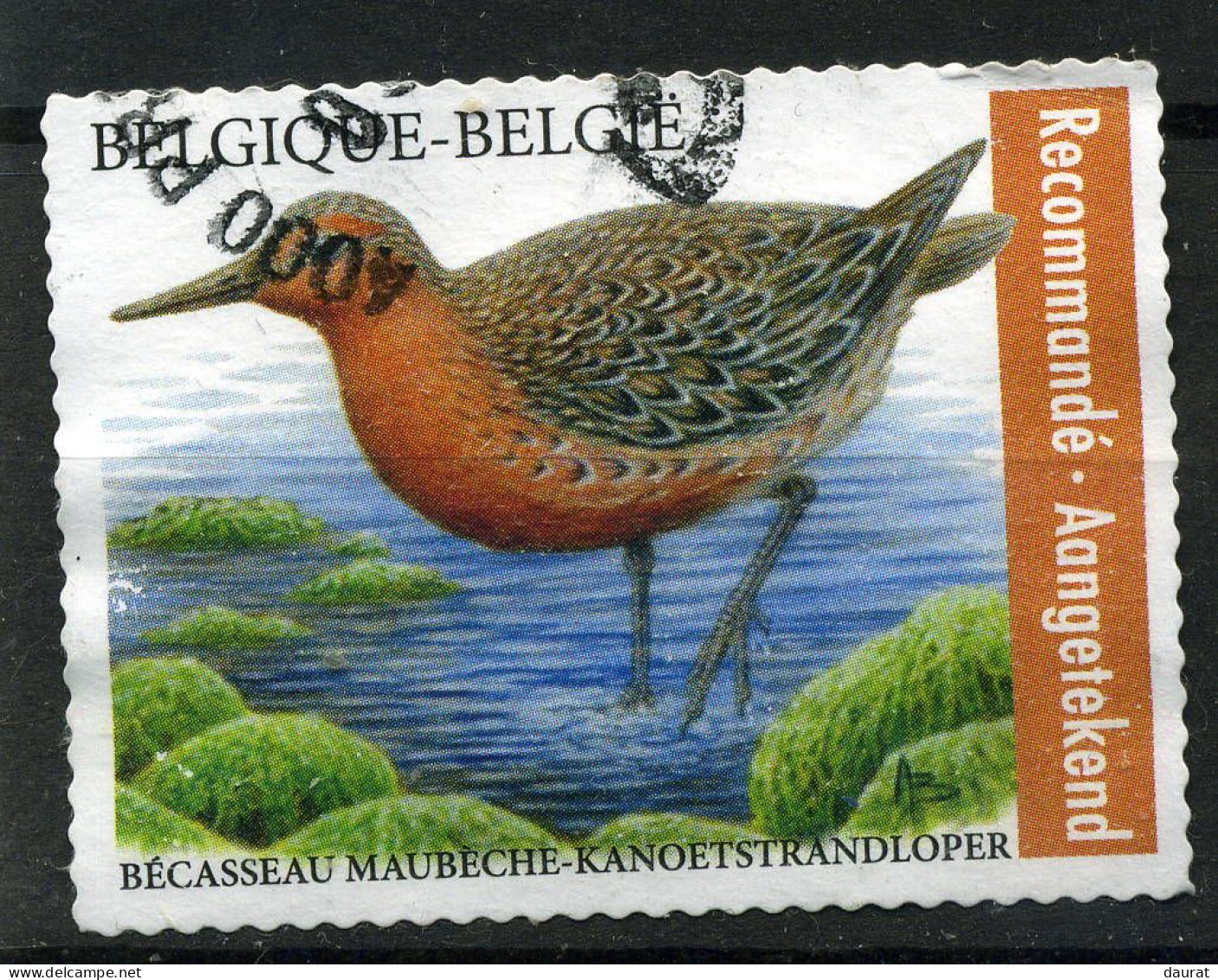 2023 Belgique Timbre Pour Recommandé Oblitéré - Used Stamps
